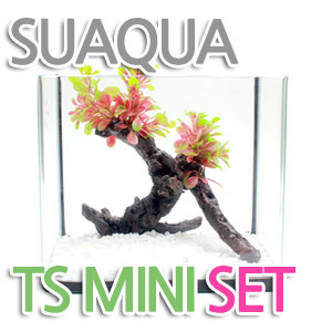 TS 미니 세트어항 시리즈 -ts18 유목분홍잎세트(베타,구피치어항용)